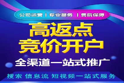 某电商平台的SEM广告投放策略及效果评估